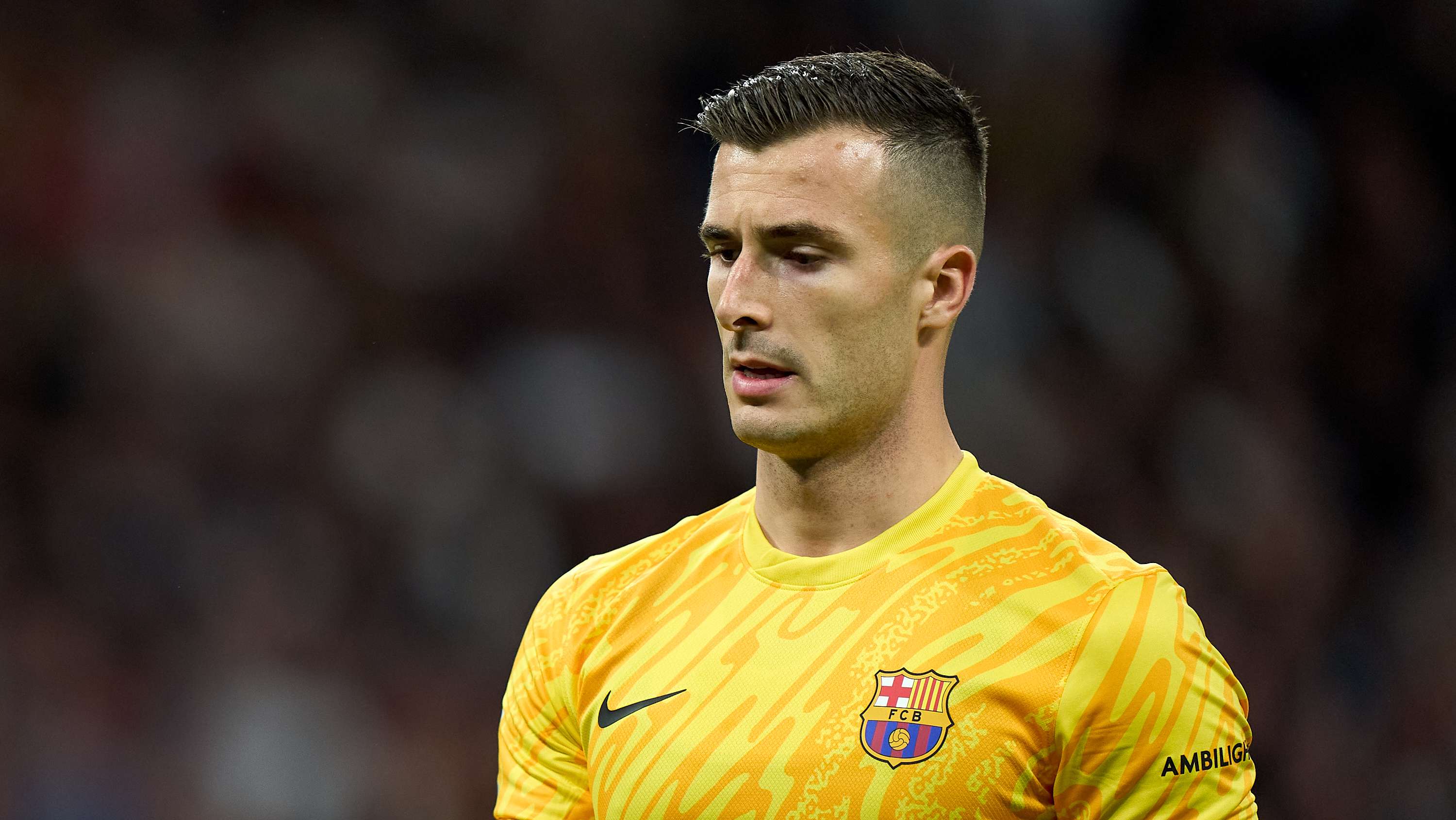 滄州雄獅的 滄州雄獅的