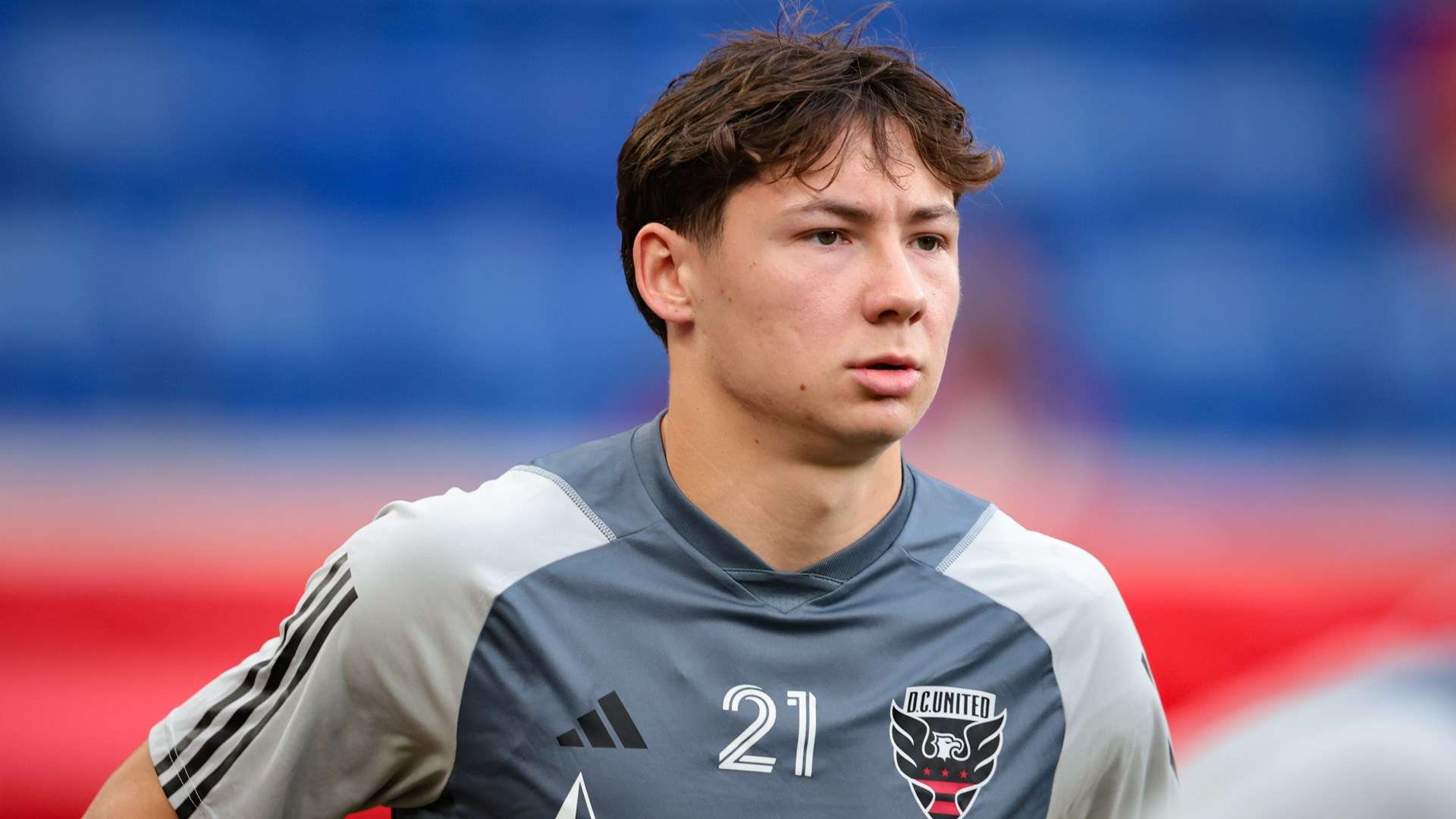 的不懈努力 的不懈努力